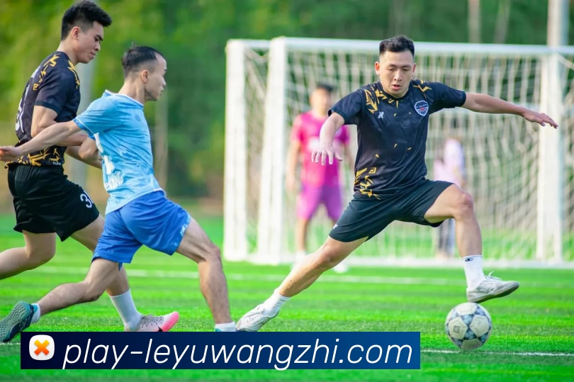 乐鱼登录入口服务体系